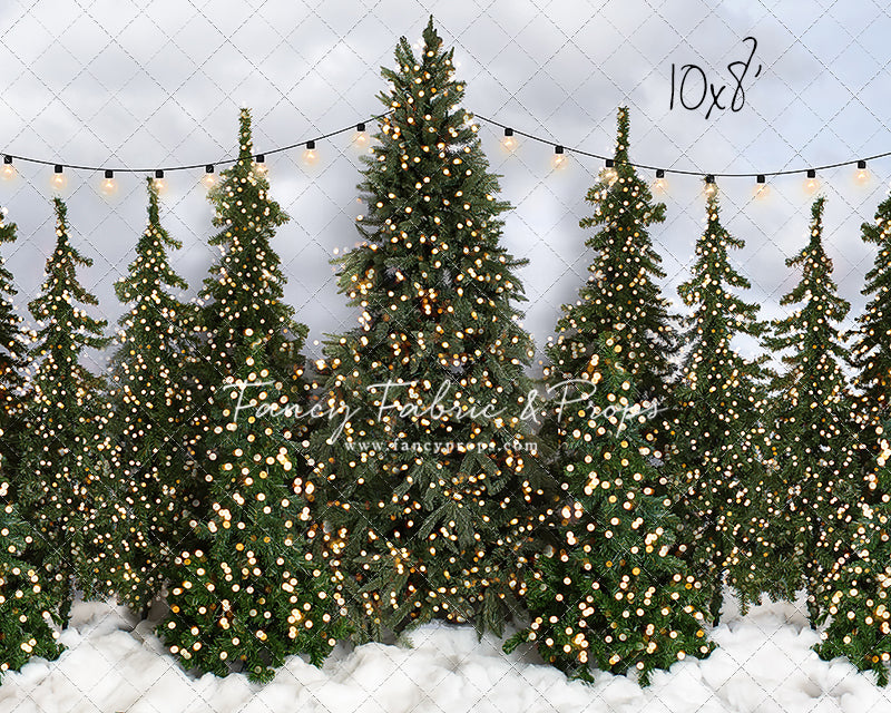 Snowy Tree Farm Open Daily 2pc Room