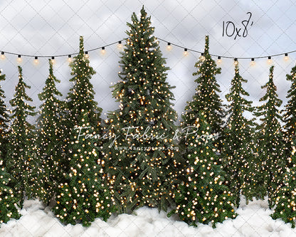 Snowy Tree Farm Open Daily 2pc Room