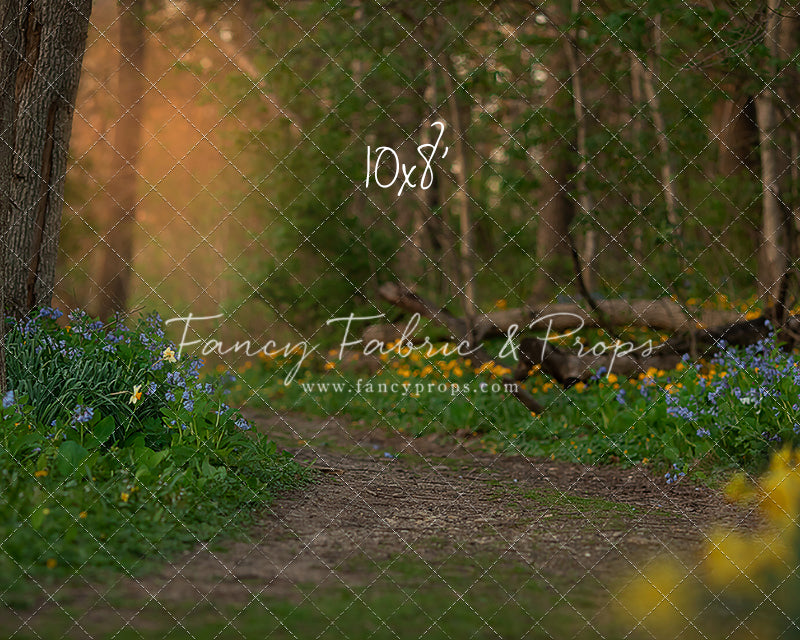 Spring Bluebell Path