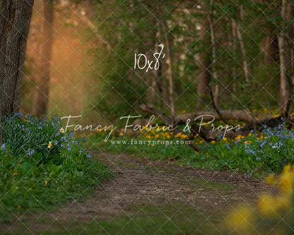 Spring Bluebell Path