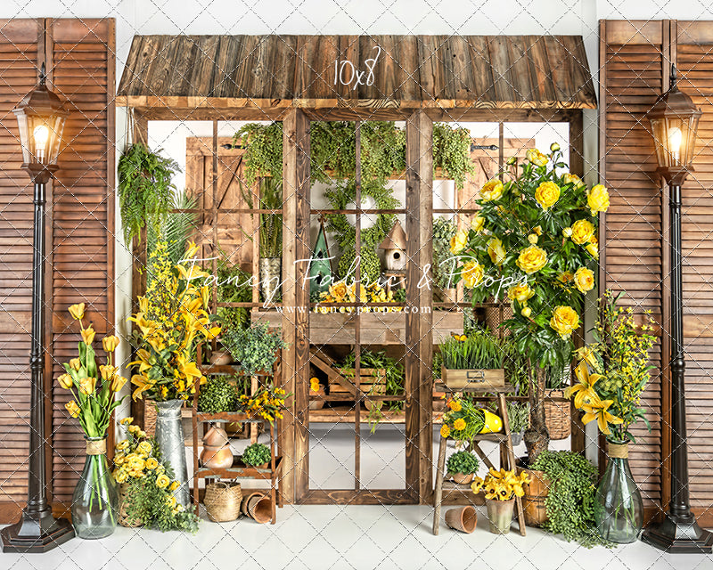 Tranquil Sunshine Shop 2pc Room