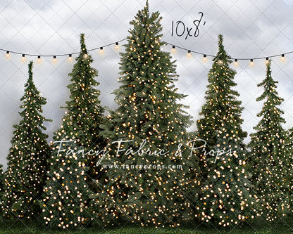 Tree Farm Traditions