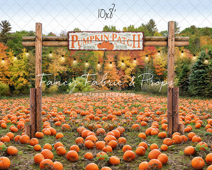 It's Pumpkin Pickin' Time Room