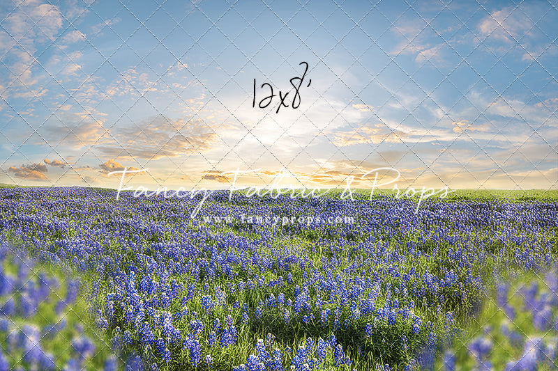 Blue Bonnet Afternoon