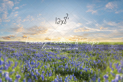 Blue Bonnet Afternoon