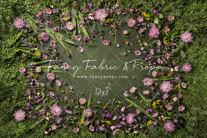 Chrysanthemum Blooms