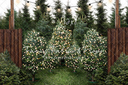 Cut & Carry Tree Farm