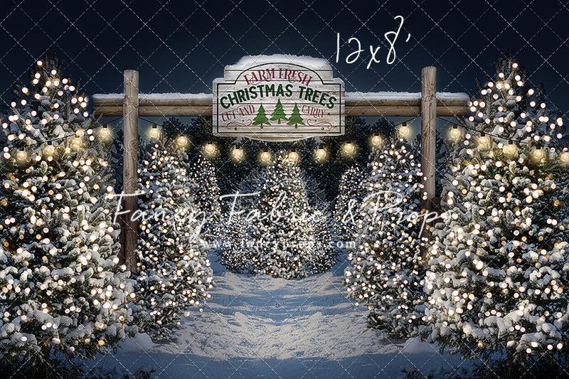 Evening Snowy Tree Farm Room