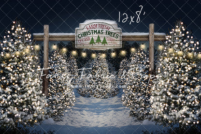 Evening Snowy Tree Farm Room