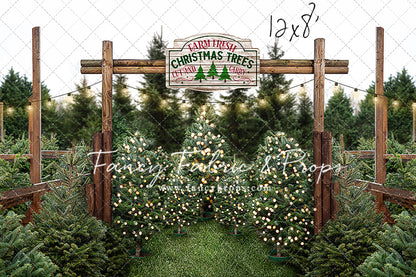 Farm Fresh Christmas Trees