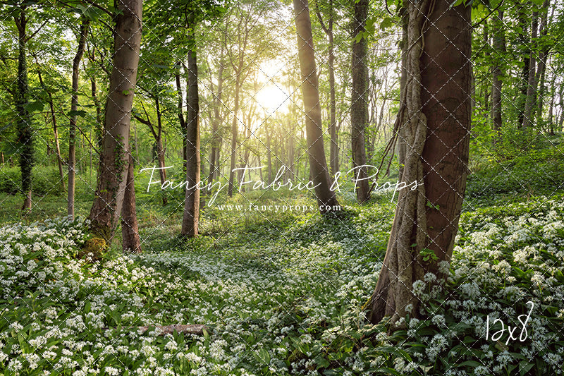 Flowering Forest White Meadow