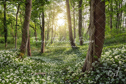 Flowering Forest White Meadow