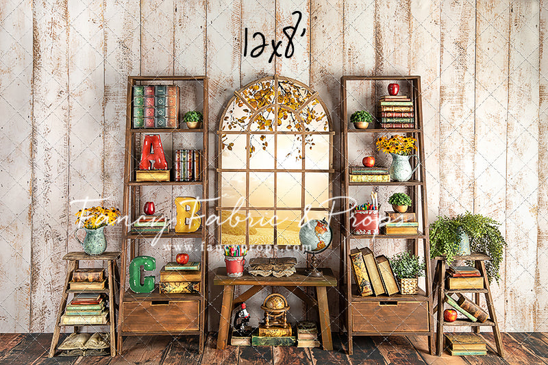 Little Einstein 2 pc Room