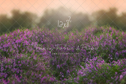 Love In Lavender