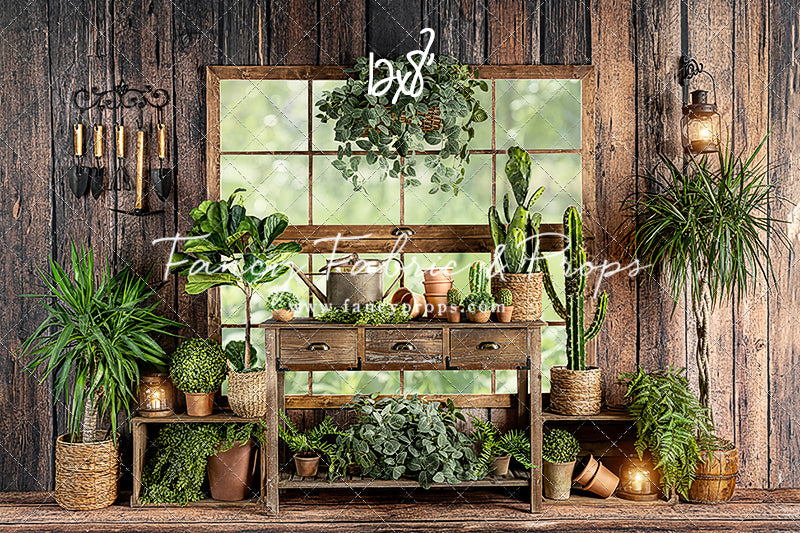 Perfect Plant Paradise Room