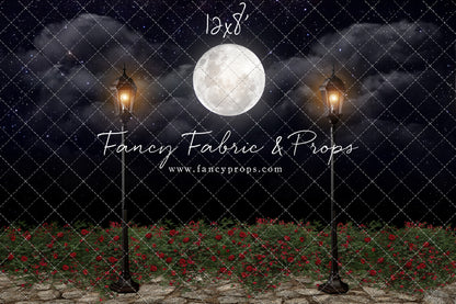 Romantic Moonlit Stroll