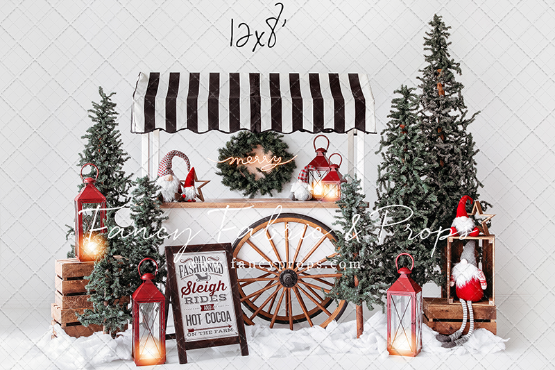 Sleigh Rides For Sale