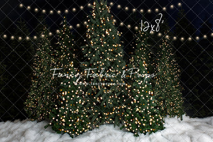 Snowy Christmas At The Barn 2pc Room