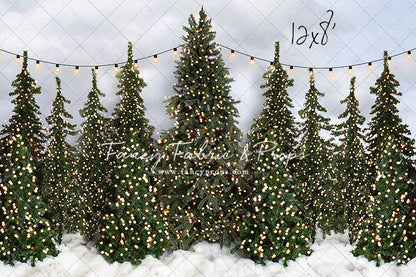 Snowy Tree Farm Open Daily 2pc Room