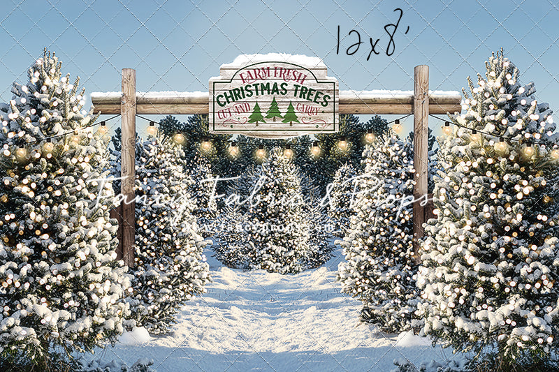 Winter Tree Farm Day Room