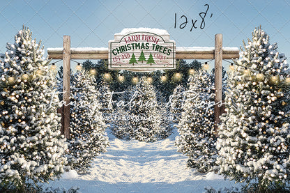 Winter Tree Farm Day Room