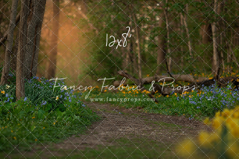 Spring Bluebell Path