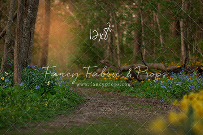 Spring Bluebell Path