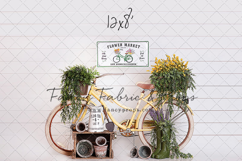 Springtime Bicycle Ride