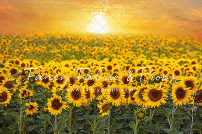 Sunflower Sunset