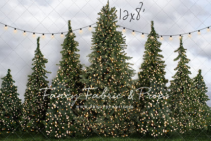 Tree Farm Traditions