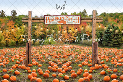 Welcome to the Pumpkin Patch Room