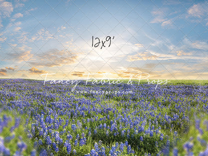 Blue Bonnet Afternoon