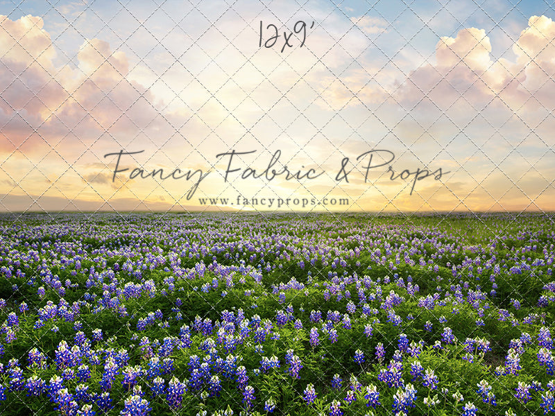 Blue Bonnet Sunrise - With Sweep Option