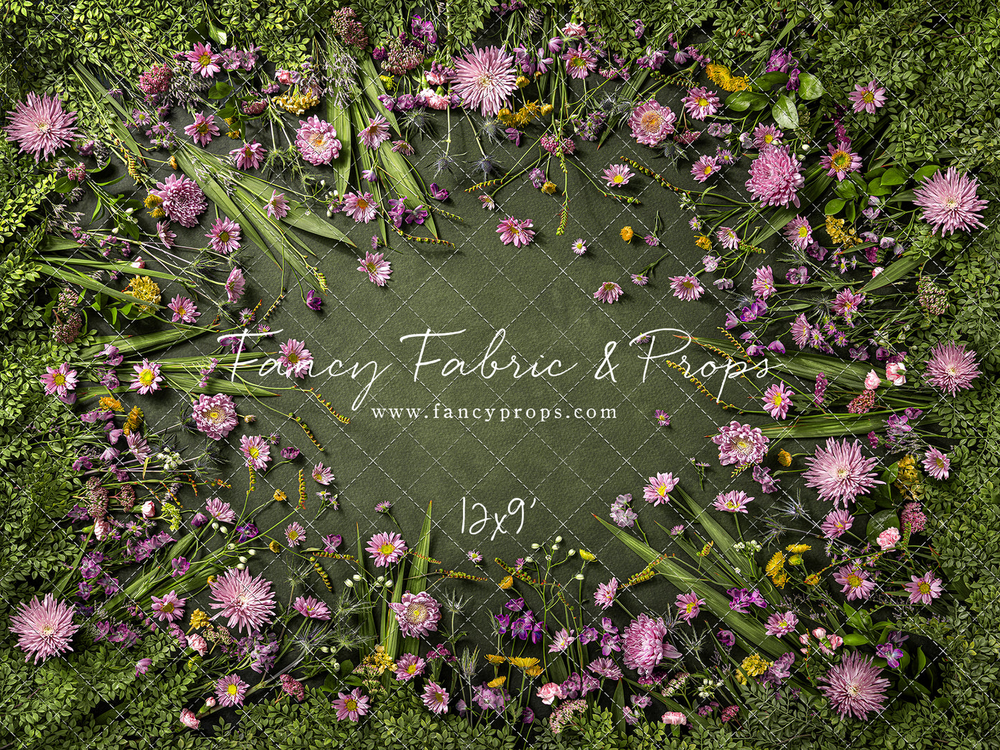 Chrysanthemum Blooms