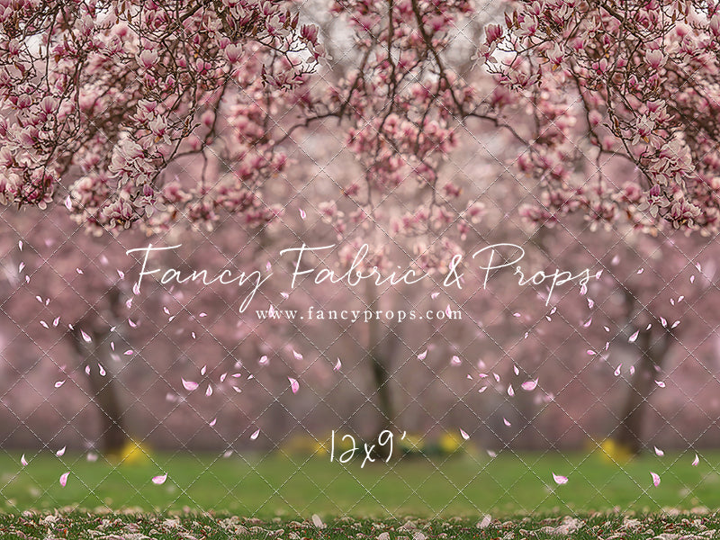 Falling Magnolias