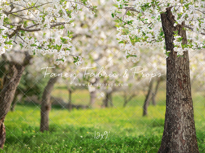 Flowering Forest Trees