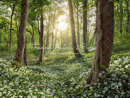 Flowering Forest White Meadow