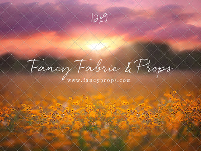 Golden Hour Wildflowers