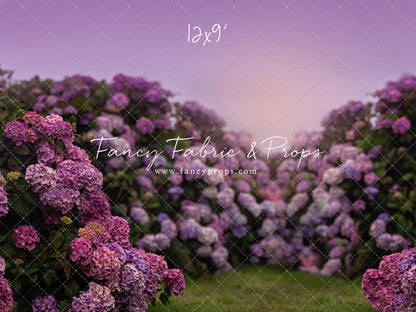 Purple Hydrangea Hollow