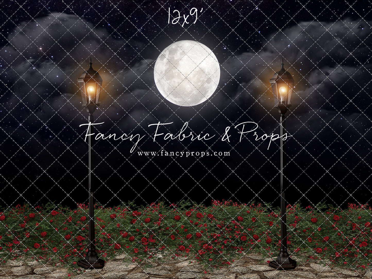 Romantic Moonlit Stroll