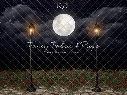 Romantic Moonlit Stroll