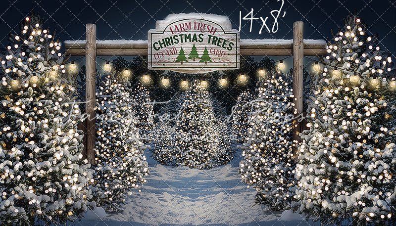 Evening Snowy Tree Farm Entrance