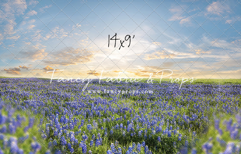 Blue Bonnet Afternoon