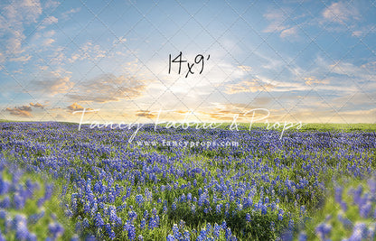 Blue Bonnet Afternoon