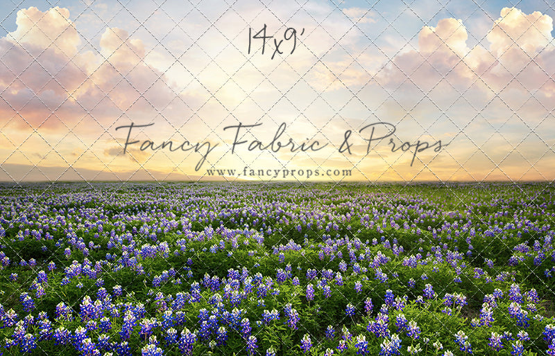 Blue Bonnet Sunrise - With Sweep Option