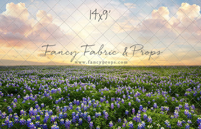 Blue Bonnet Sunrise - With Sweep Option
