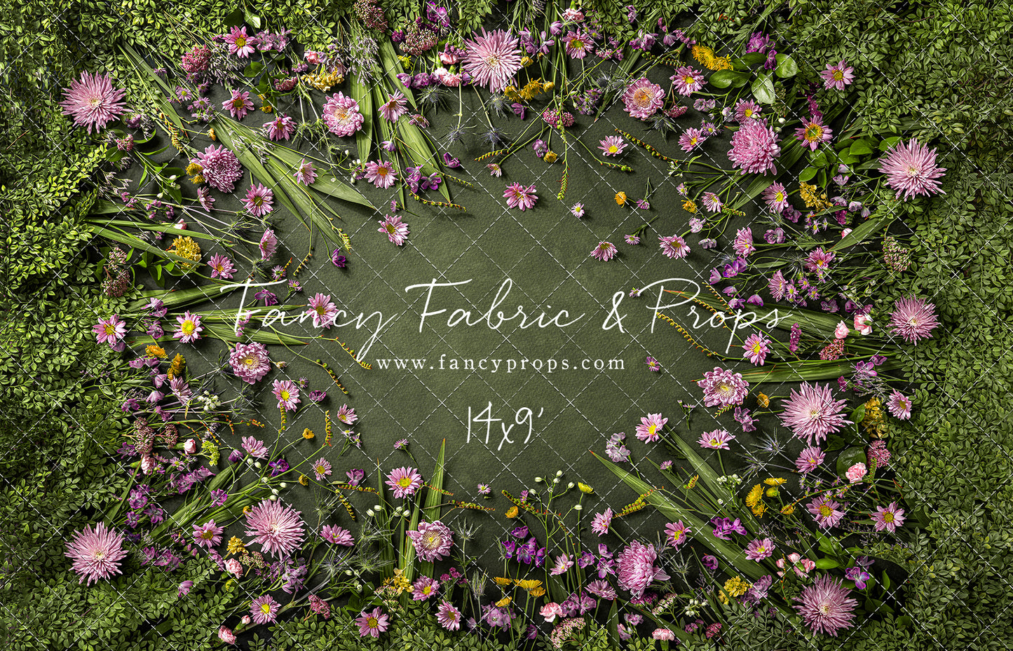 Chrysanthemum Blooms