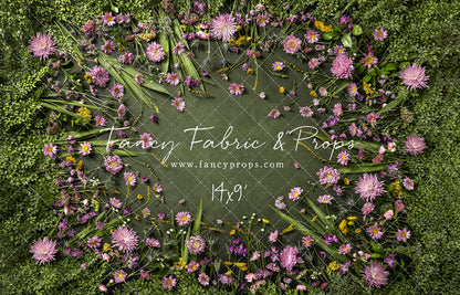 Chrysanthemum Blooms