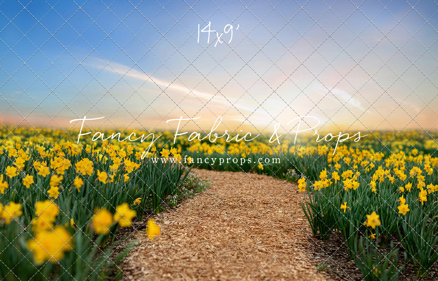 Daffodil Path