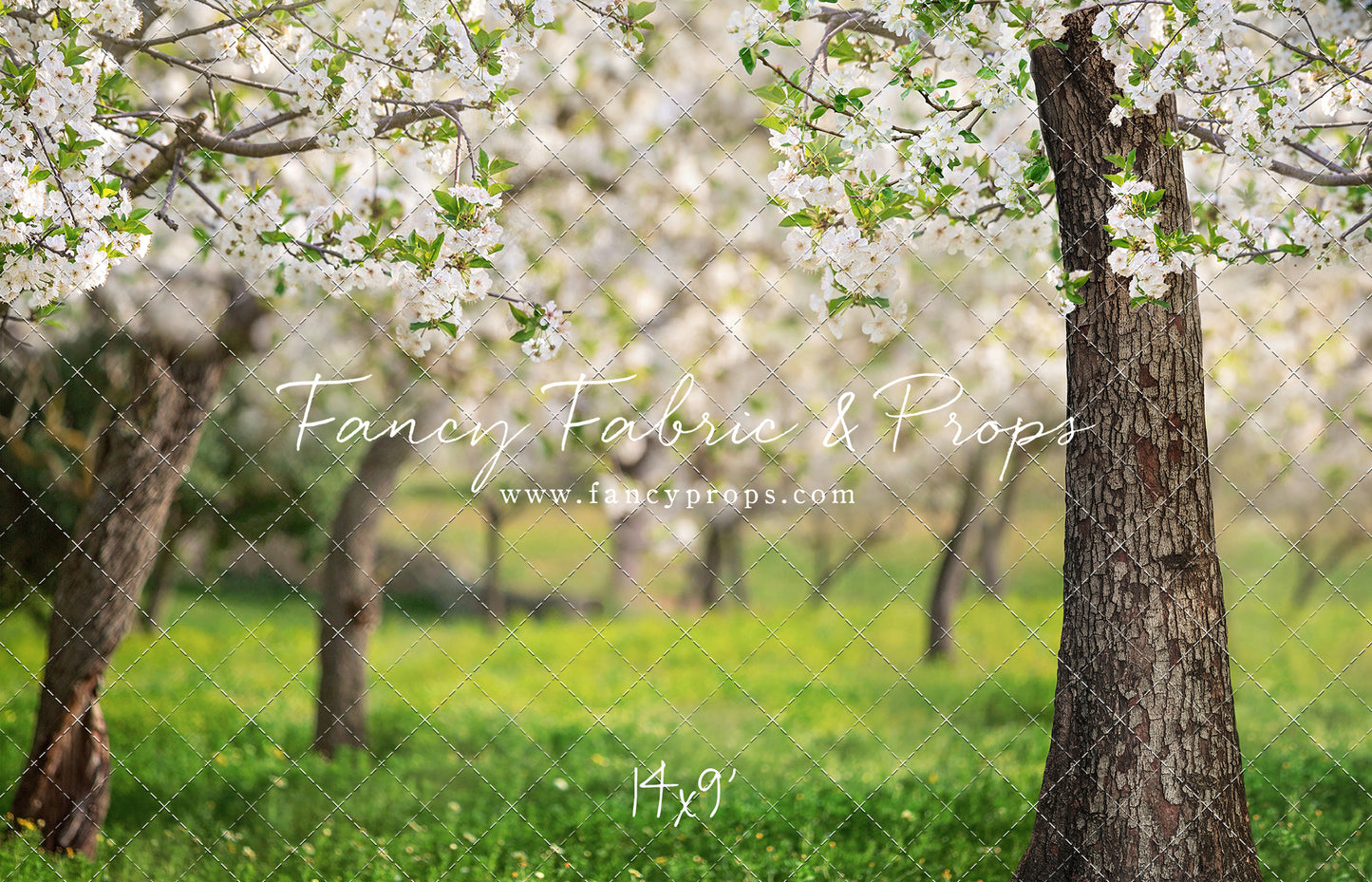 Flowering Forest Trees